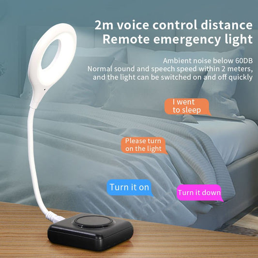 Smart Voice Control USB Light product photo